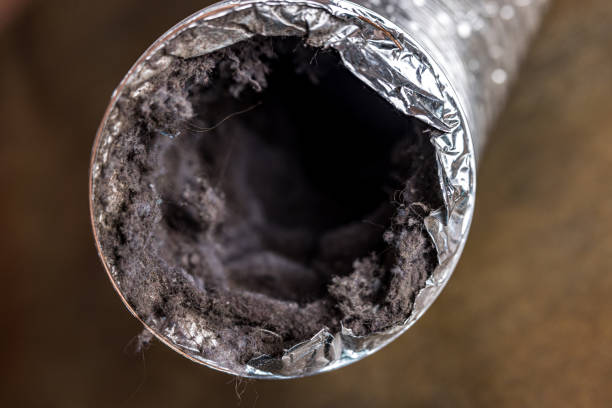 Best Dryer Vent Cleaning in Sussex, NJ